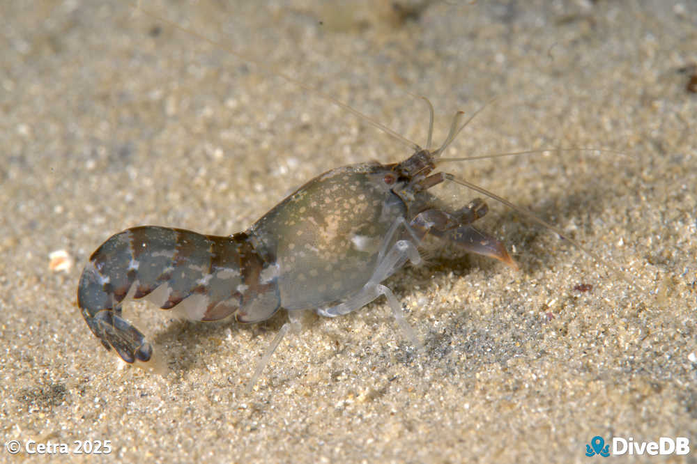 Photo at Port Noarlunga Jetty. 