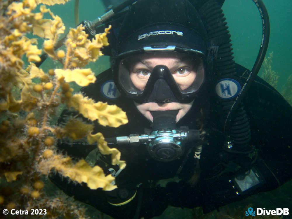 Photo at Port Hughes Jetty. 