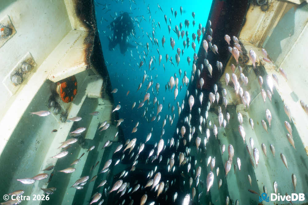 Photo at MV Andrew Wilson. 