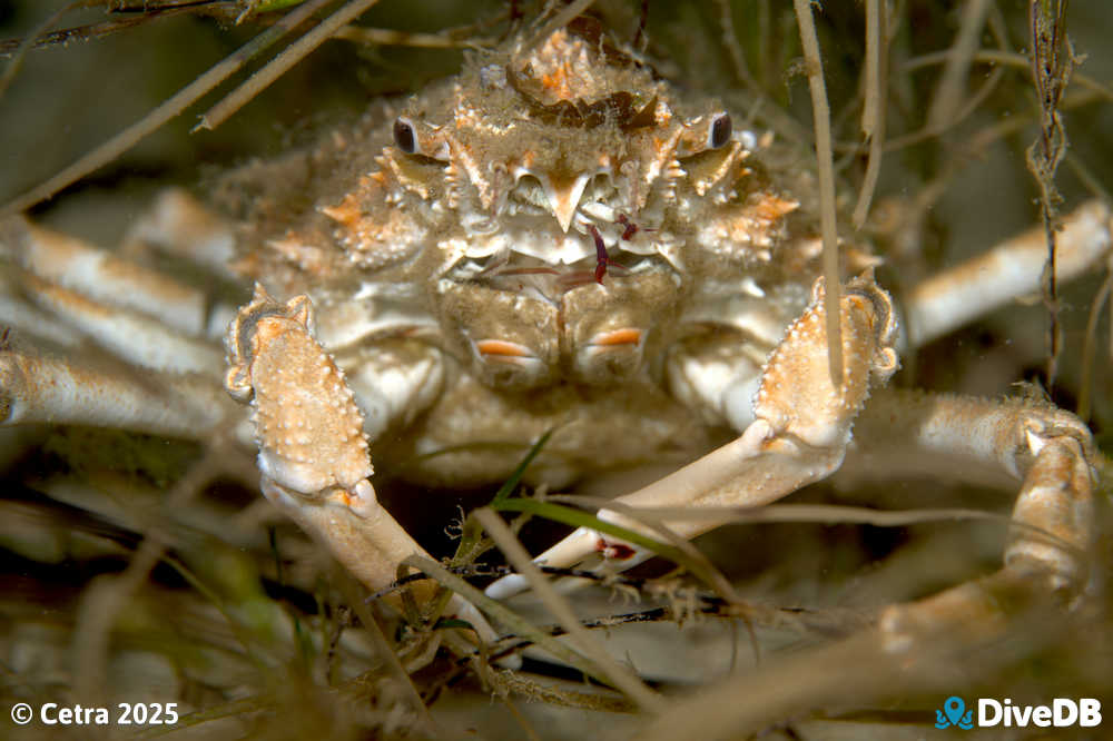 Photo at Port Noarlunga Jetty. 