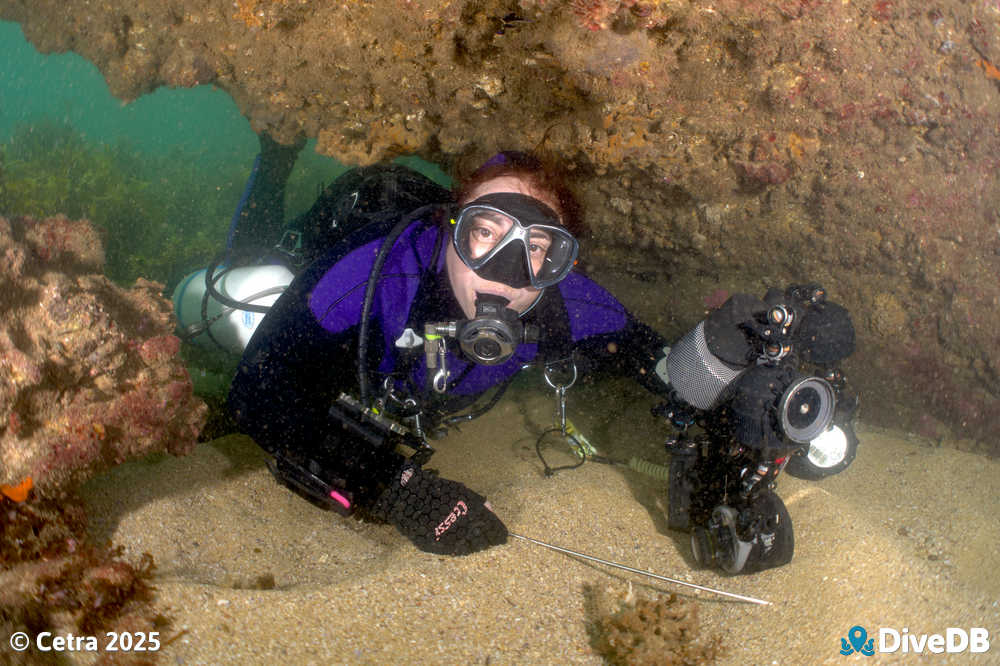 Photo at Aldinga Pinnacles. 