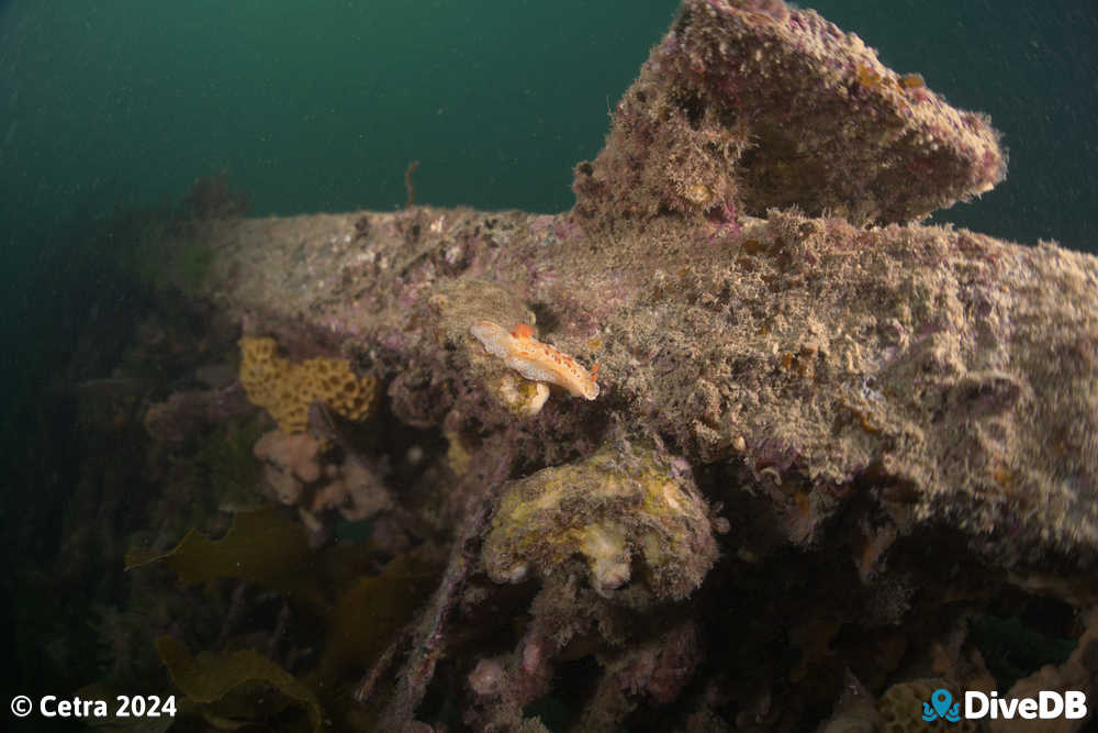 Photo at Port Noarlunga Jetty. 