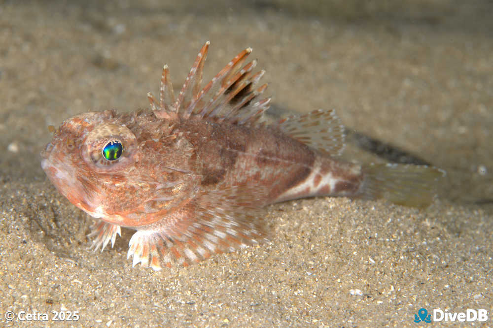 Photo at Port Noarlunga Jetty. 