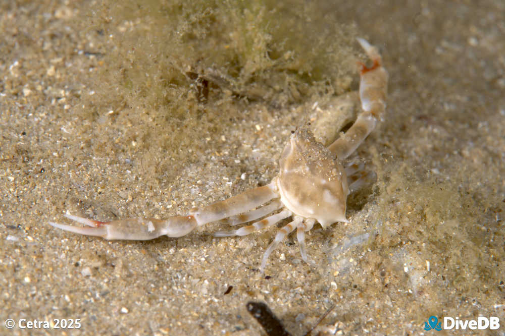 Photo at Port Noarlunga Jetty. 