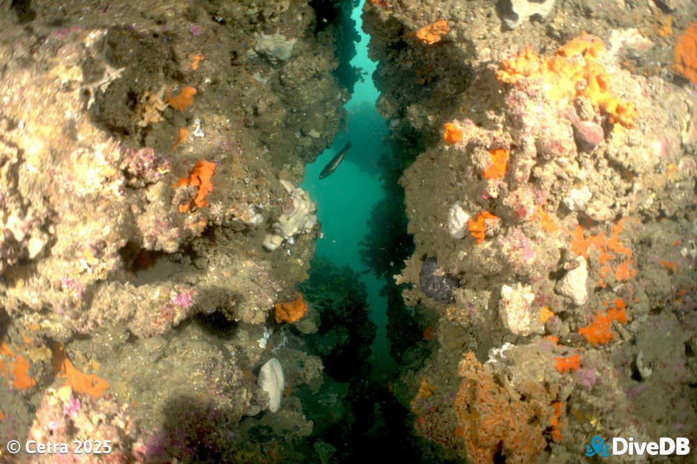 Photo at Aldinga Pinnacles. 