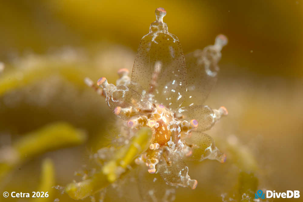 Photo at Port Hughes Jetty. 