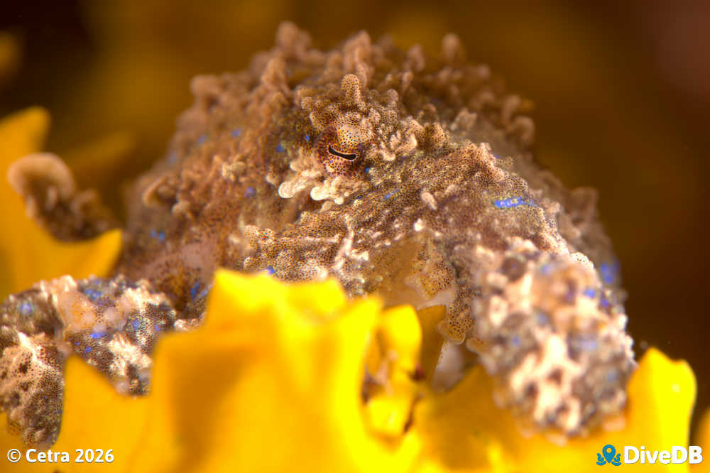Photo at Port Hughes Jetty. 