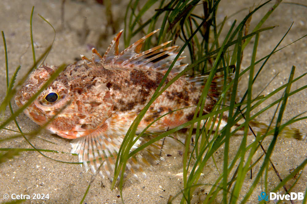 Photo at Port Noarlunga Jetty. 