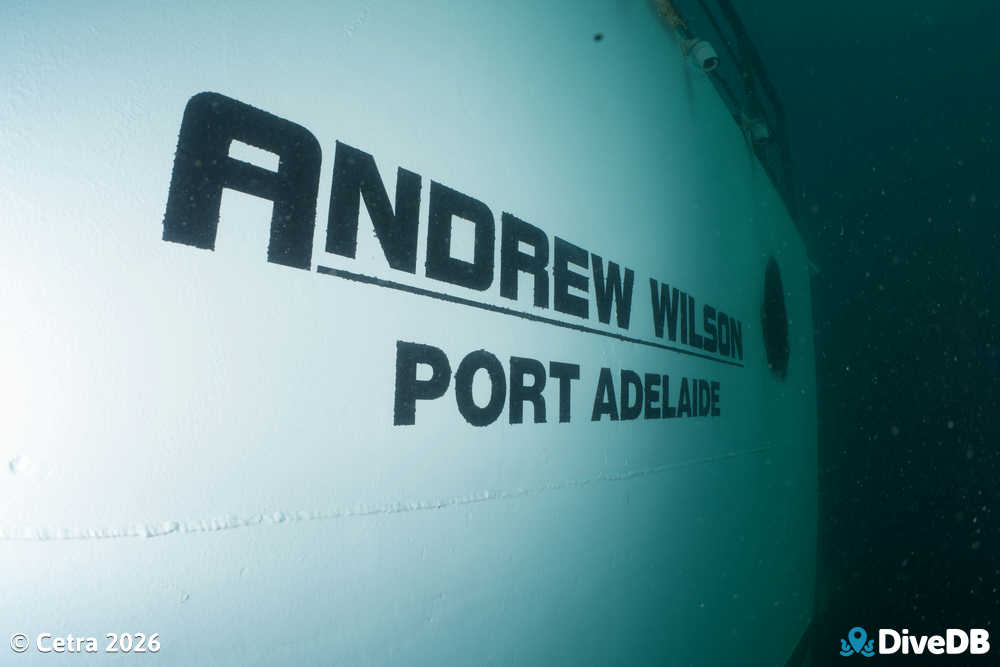 MV Andrew Wilson
