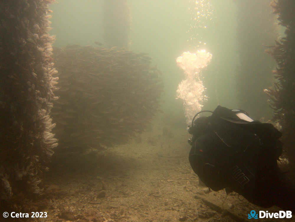 Photo at Port Hughes Jetty. 