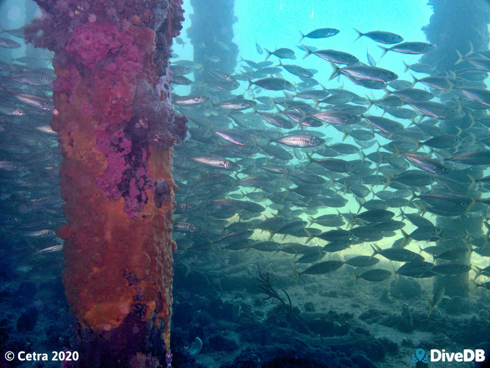 Edithburgh Jetty