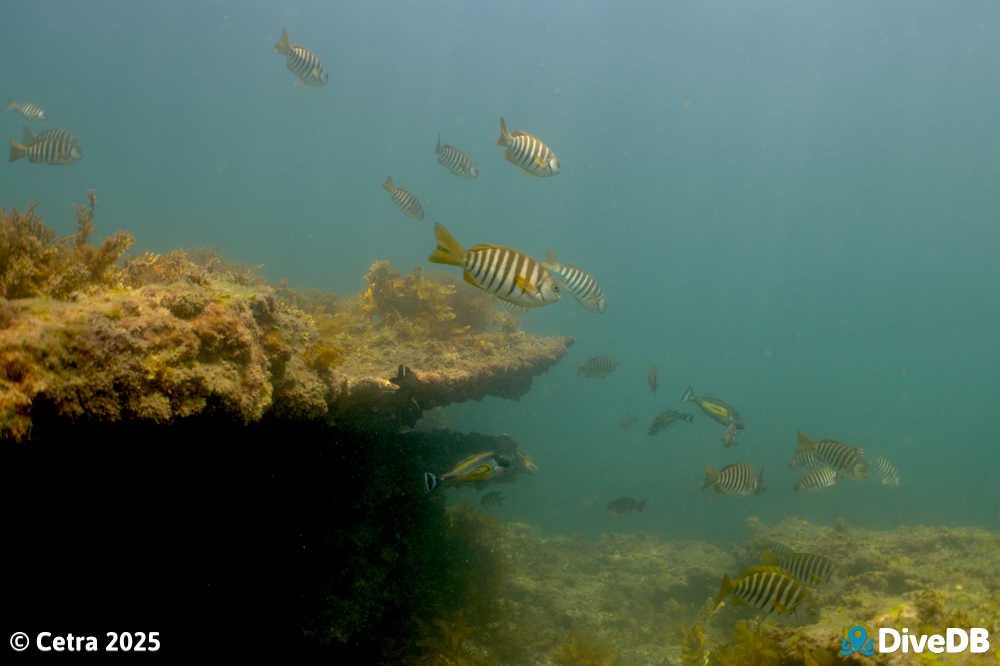 Photo at Aldinga Pinnacles. 