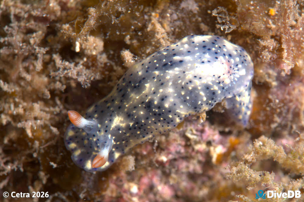 Photo at Port Victoria Jetty. 