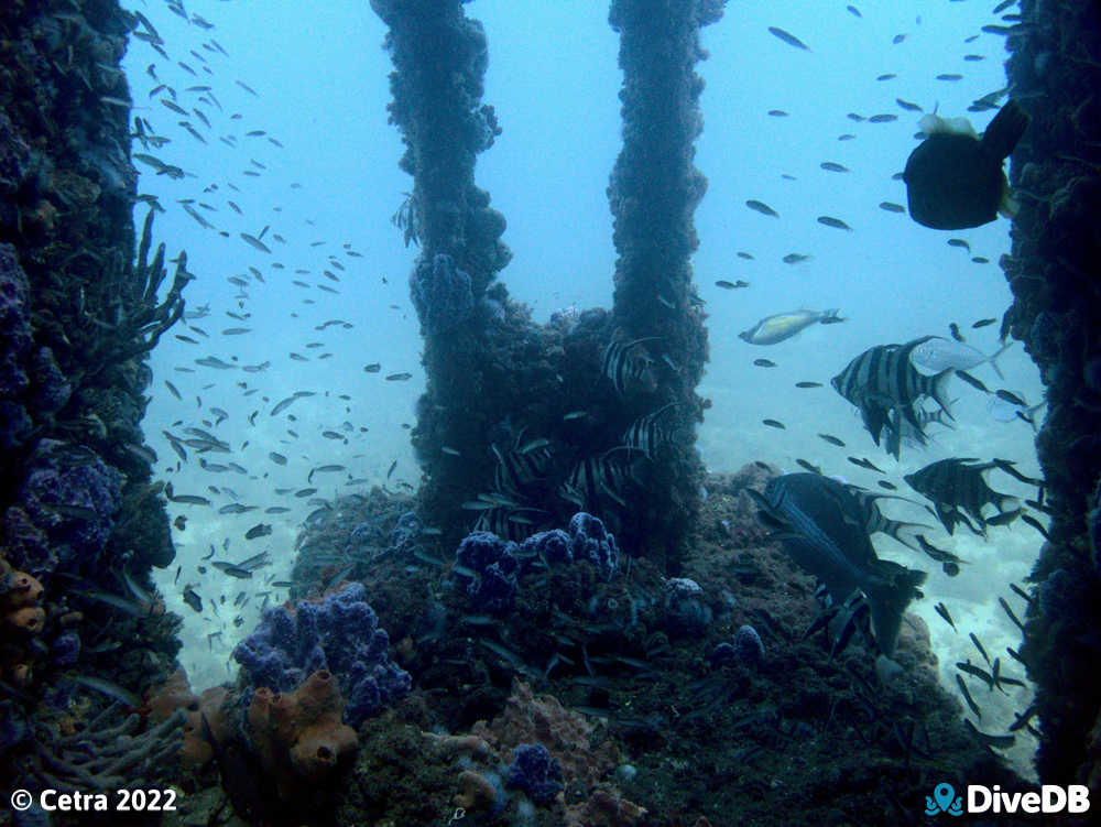 Glenelg Dredge