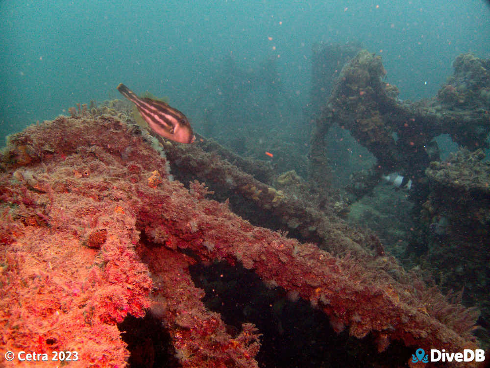 Photo at Glenelg Dredge. 