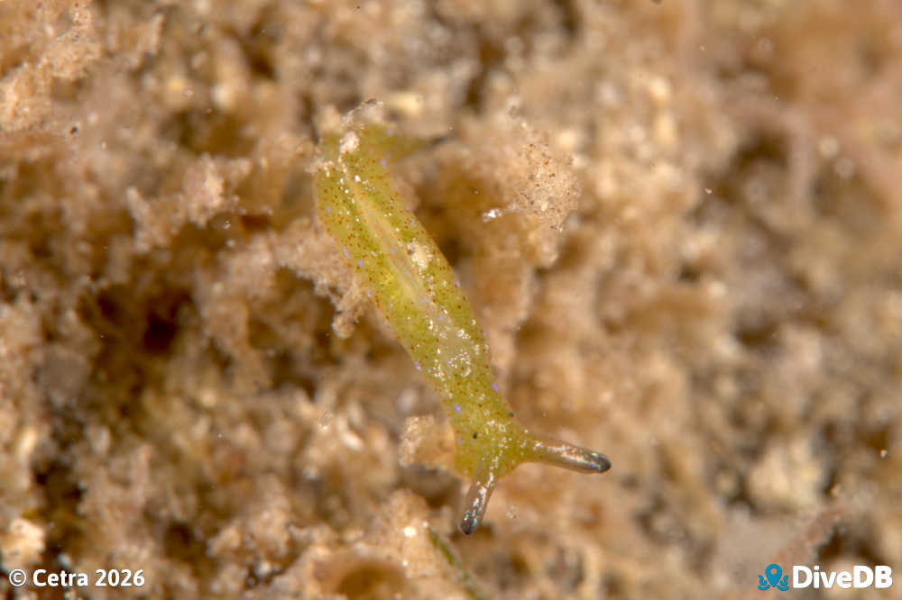Photo at Port Victoria Jetty. 