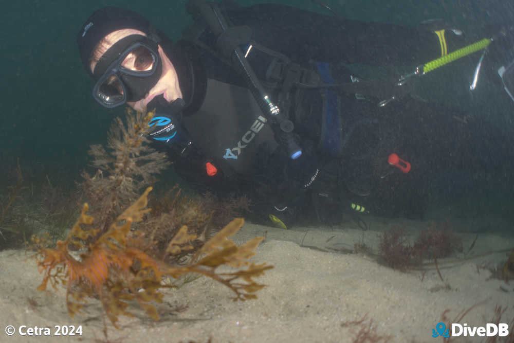 Photo at Port Noarlunga Jetty. 