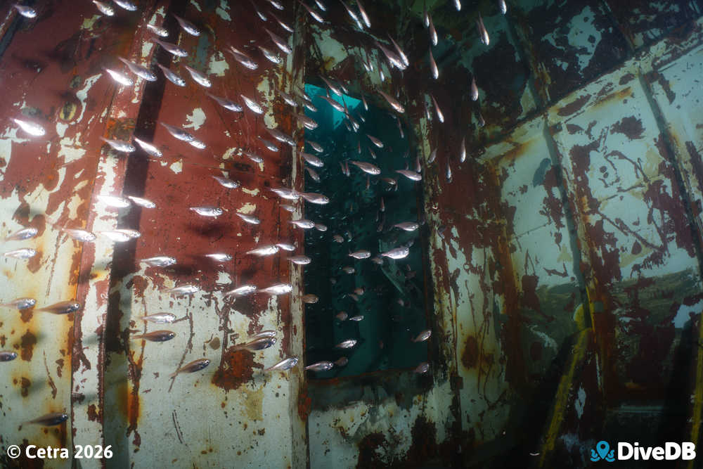Photo at MV Andrew Wilson. 