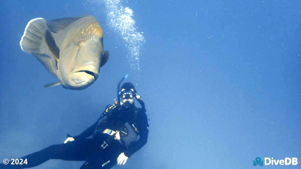 Photo at Agincourt Reef 4 - The Point. 