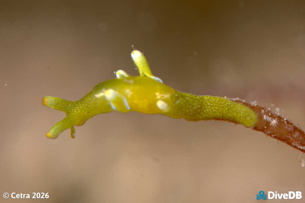 Photo at Port Victoria Jetty. 